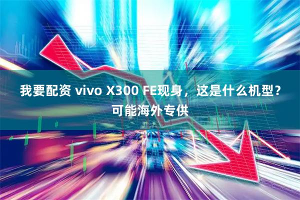我要配资 vivo X300 FE现身，这是什么机型？可能海外专供
